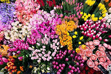 《怪物猎人：荒野》PS商店页面上线 可加入心愿单